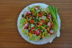EA-Cook (32)